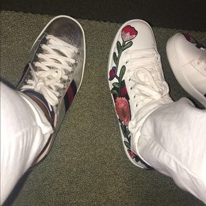 Meet your Posher, Shellz